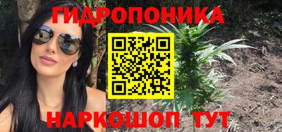 крисы Нарткала