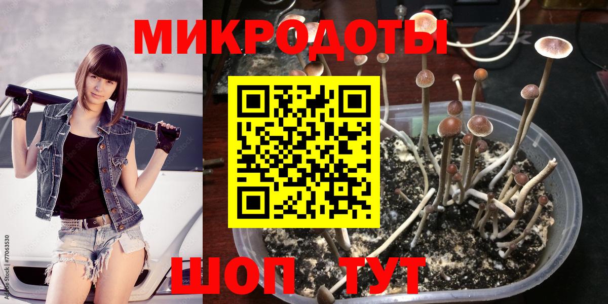 Псилоцибиновые грибы Psilocybine cubensis Советский